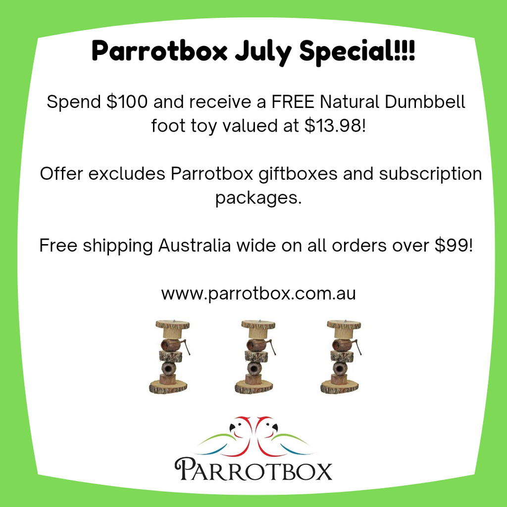 July Special at Parrotbox: Free Natural Dumbbell Foot Toy with Every $100 Purchase!