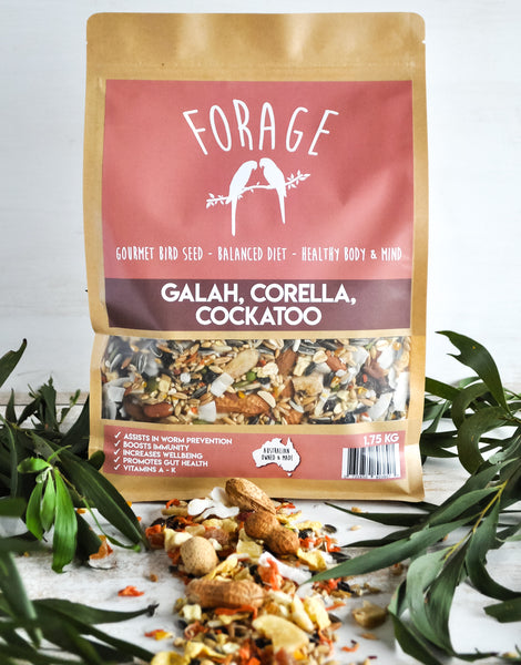 Forage Galah, Corella, Cockatoo Blend 1.75kg