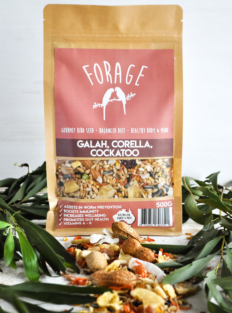 Forage Galah, Corella, Cockatoo Blend 500g