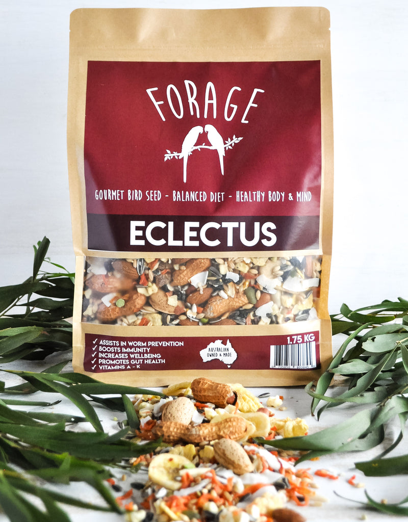 Forage Eclectus Blend 1.75kg