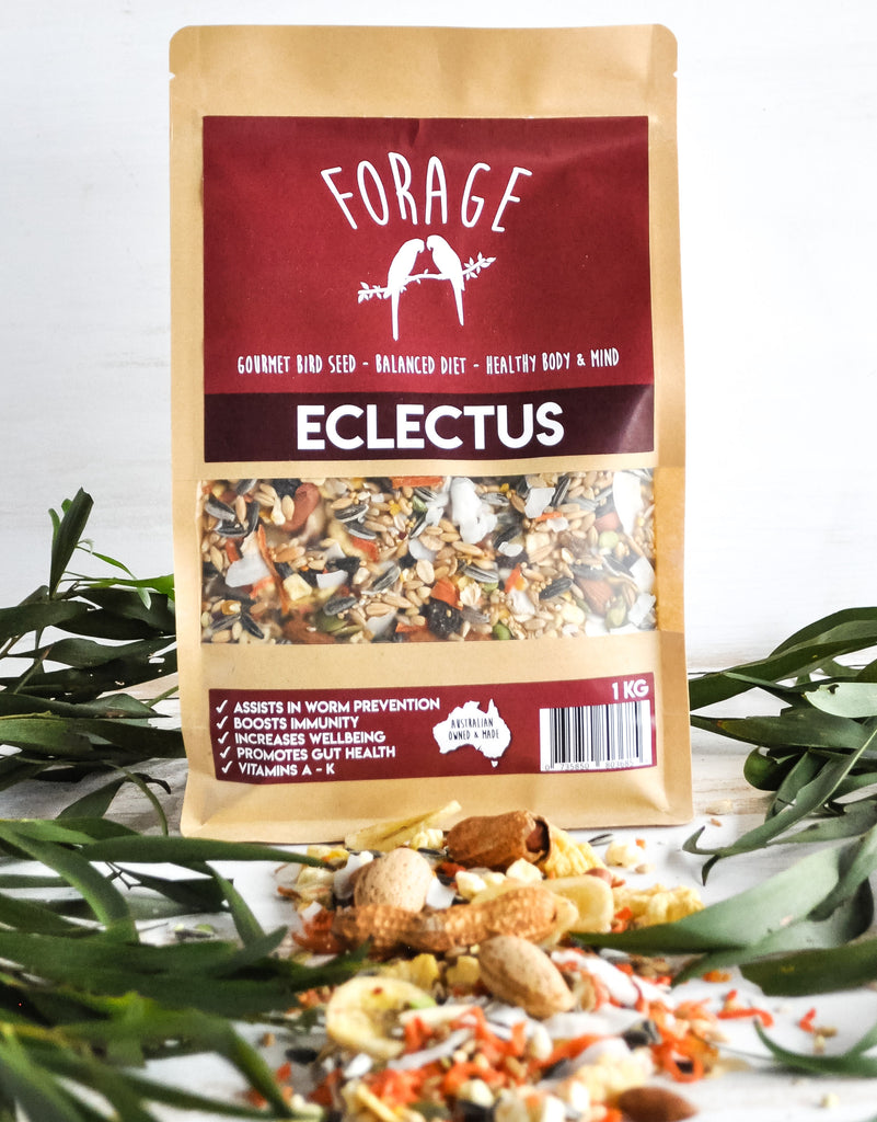 Forage Eclectus Blend 1kg