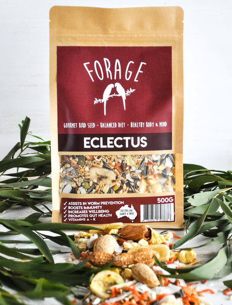 Forage Eclectus Blend 500g