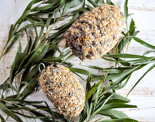 Forage Pine Cone Treat Small Bird