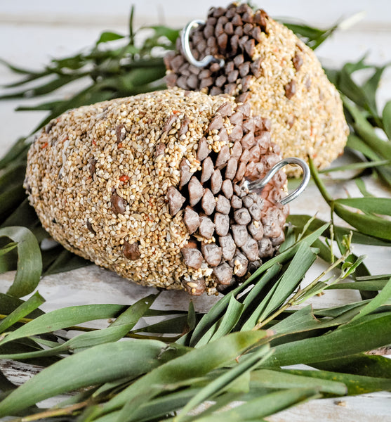 Forage Pine Cone Treat Large Bird