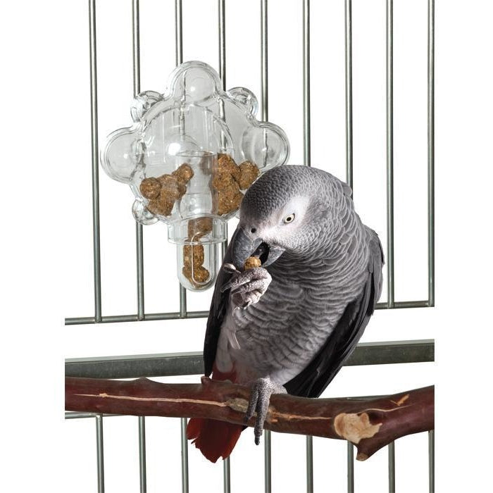 African grey cheap foraging toys